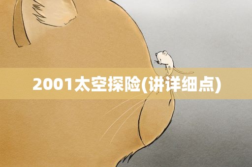 2001太空探险(讲详细点)
