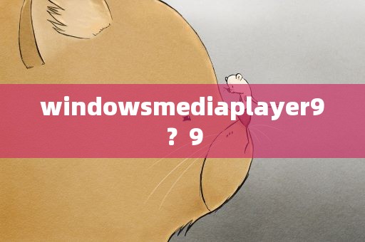 windowsmediaplayer9？9