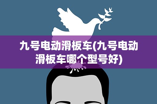 九号电动滑板车(九号电动滑板车哪个型号好)