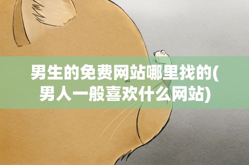 男生的免费网站哪里找的(男人一般喜欢什么网站)