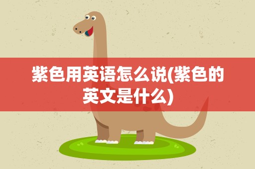 紫色用英语怎么说(紫色的英文是什么)