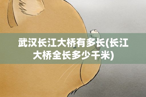 武汉长江大桥有多长(长江大桥全长多少千米)