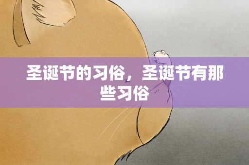圣诞节的习俗，圣诞节有那些习俗