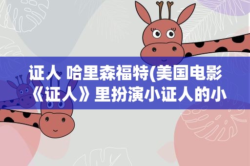 证人 哈里森福特(美国电影《证人》里扮演小证人的小男孩是谁)