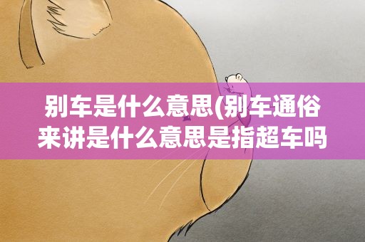 别车是什么意思(别车通俗来讲是什么意思是指超车吗)