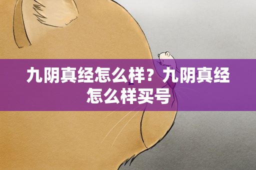 九阴真经怎么样？九阴真经怎么样买号