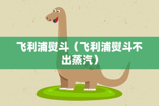 飞利浦熨斗（飞利浦熨斗不出蒸汽）