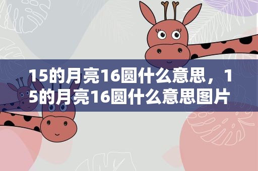 15的月亮16圆什么意思，15的月亮16圆什么意思图片