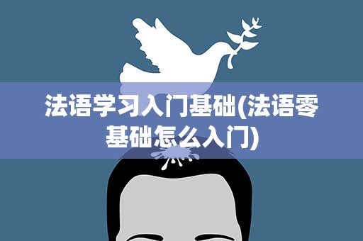 法语学习入门基础(法语零基础怎么入门)