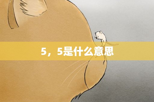 5，5是什么意思