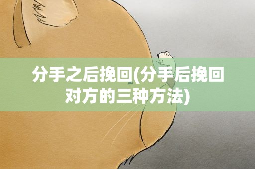 分手之后挽回(分手后挽回对方的三种方法)