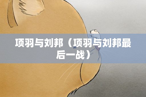 项羽与刘邦（项羽与刘邦最后一战）