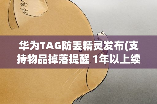 华为TAG防丢精灵发布(支持物品掉落提醒 1年以上续航)
