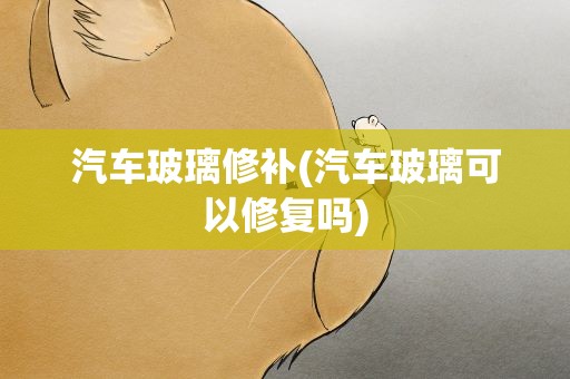 汽车玻璃修补(汽车玻璃可以修复吗)