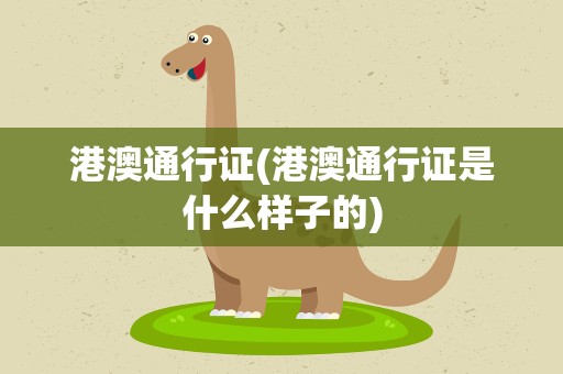 港澳通行证(港澳通行证是什么样子的)