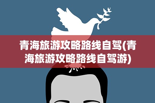 青海旅游攻略路线自驾(青海旅游攻略路线自驾游)