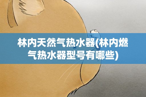 林内天然气热水器(林内燃气热水器型号有哪些)