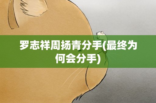 罗志祥周扬青分手(最终为何会分手)