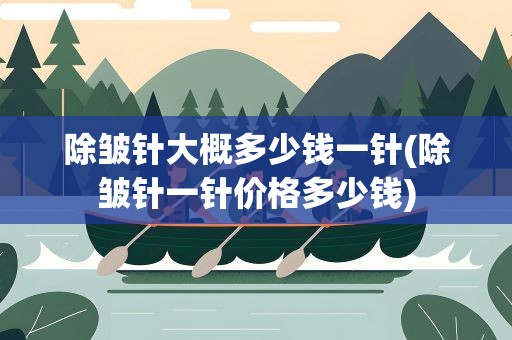 除皱针大概多少钱一针(除皱针一针价格多少钱)