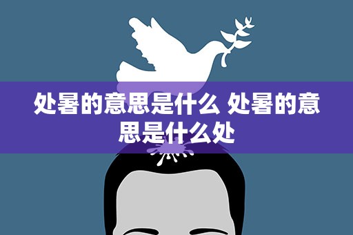 处暑的意思是什么 处暑的意思是什么处