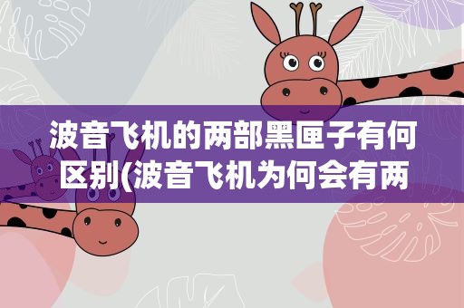 波音飞机的两部黑匣子有何区别(波音飞机为何会有两部黑匣子这两个黑匣子有何区别)