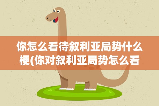 你怎么看待叙利亚局势什么梗(你对叙利亚局势怎么看是什么梗)