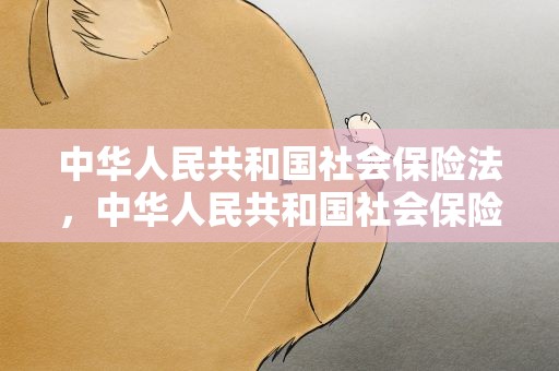 中华人民共和国社会保险法，中华人民共和国社会保险法释义