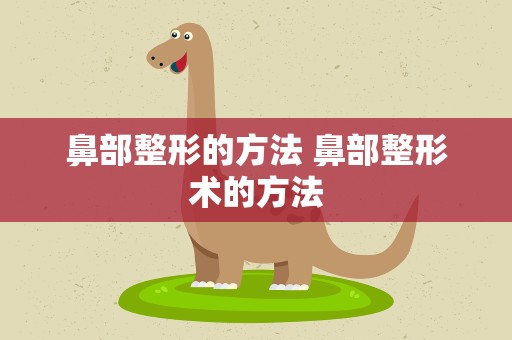 鼻部整形的方法 鼻部整形术的方法