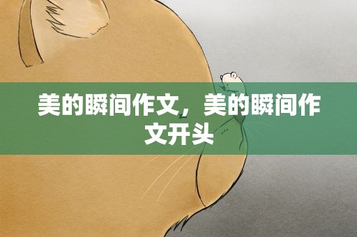 美的瞬间作文，美的瞬间作文开头