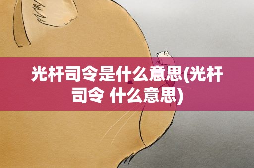 光杆司令是什么意思(光杆司令 什么意思)