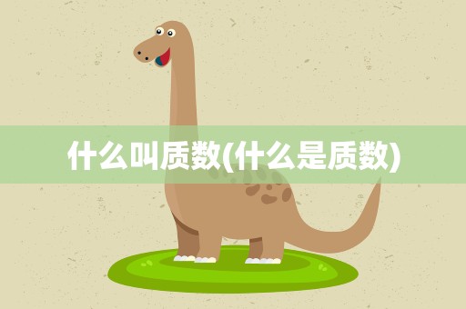 什么叫质数(什么是质数)