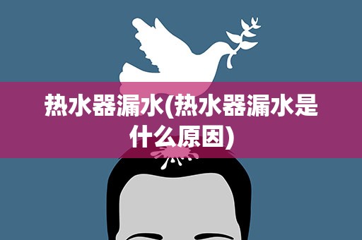 热水器漏水(热水器漏水是什么原因)