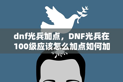 dnf光兵加点，DNF光兵在100级应该怎么加点如何加点最合适