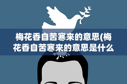 梅花香自苦寒来的意思(梅花香自苦寒来的意思是什么)