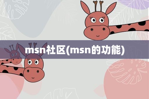 msn社区(msn的功能)