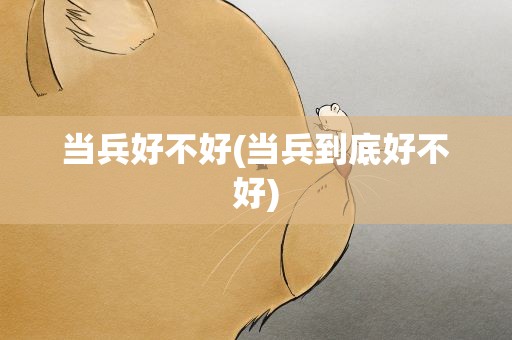 当兵好不好(当兵到底好不好)