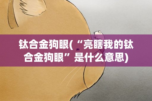 钛合金狗眼(“亮瞎我的钛合金狗眼”是什么意思)