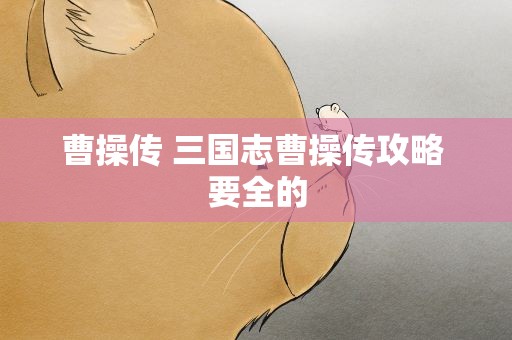 曹操传 三国志曹操传攻略 要全的