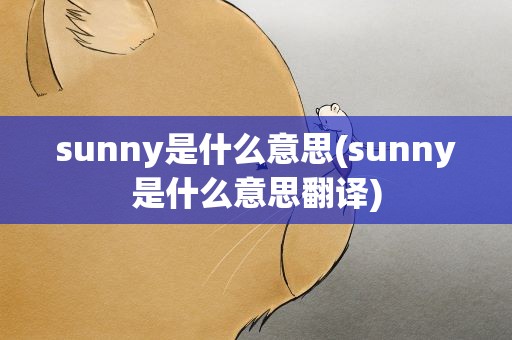 sunny是什么意思(sunny是什么意思翻译)