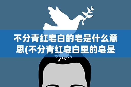 不分青红皂白的皂是什么意思(不分青红皂白里的皂是什么意思)