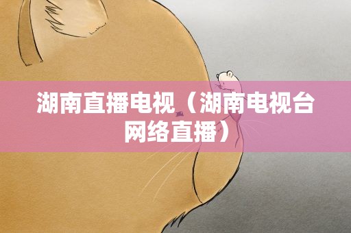 湖南直播电视（湖南电视台网络直播）