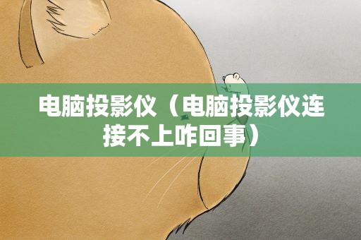 电脑投影仪（电脑投影仪连接不上咋回事）