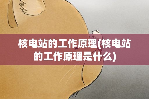 核电站的工作原理(核电站的工作原理是什么)
