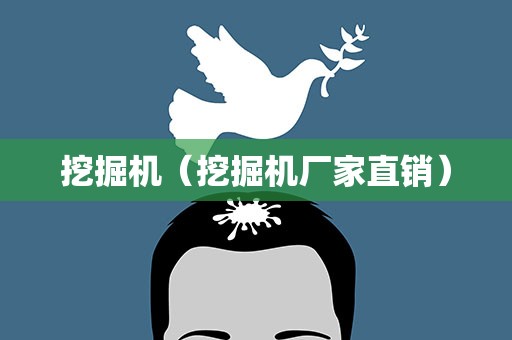 挖掘机（挖掘机厂家直销）