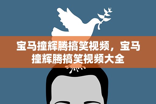 宝马撞辉腾搞笑视频，宝马撞辉腾搞笑视频大全