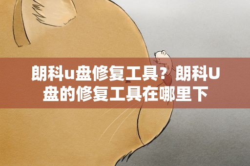 朗科u盘修复工具？朗科U盘的修复工具在哪里下