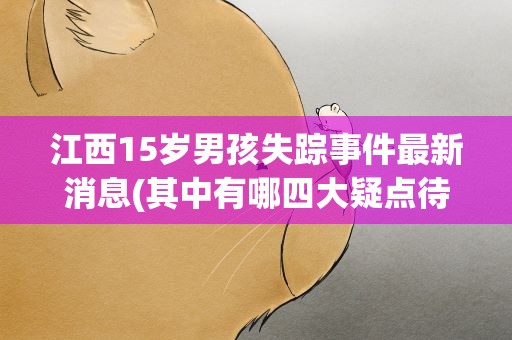 江西15岁男孩失踪事件最新消息(其中有哪四大疑点待解答)