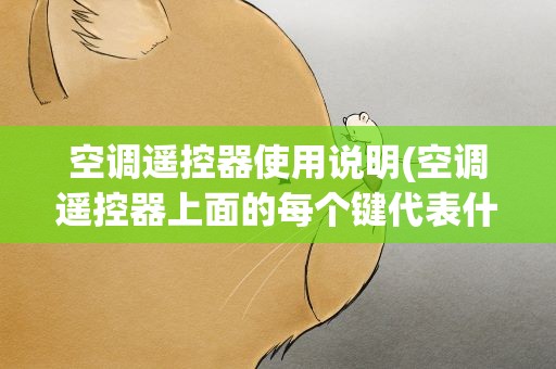 空调遥控器使用说明(空调遥控器上面的每个键代表什么)