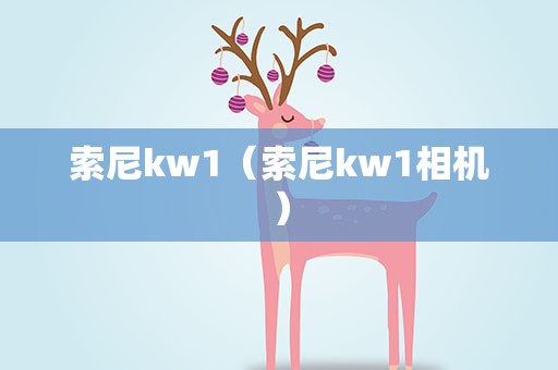 索尼kw1（索尼kw1相机）