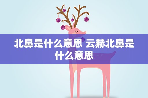 北鼻是什么意思 云赫北鼻是什么意思